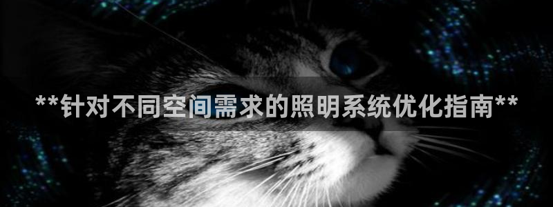 **针对不同空间需求的照明系统优化指南*